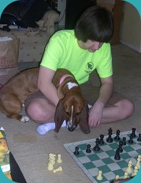 ginger playing chess